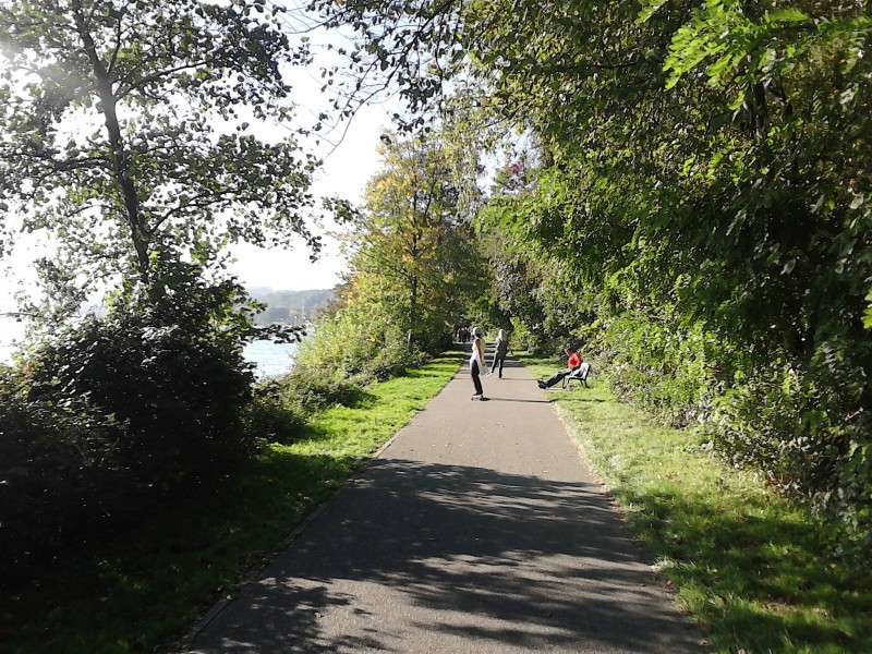 Baldeneysee